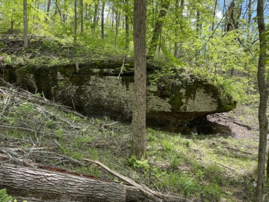 (private lake, pond, creek) Acreage For Sale in Somerset Kentucky