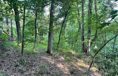 William Dannelly Reservoir Acreage For Sale in Alberta Alabama