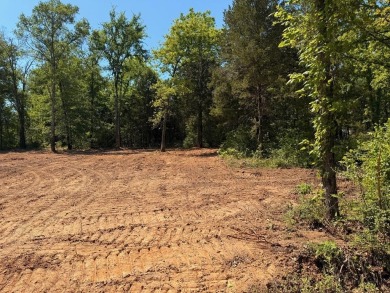 Lake Lot For Sale in Eustace, Texas