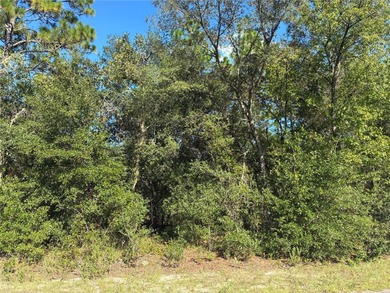 Bonable Lake Lot For Sale in Dunnellon Florida