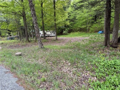 (private lake, pond, creek) Lot For Sale in Forestport New York