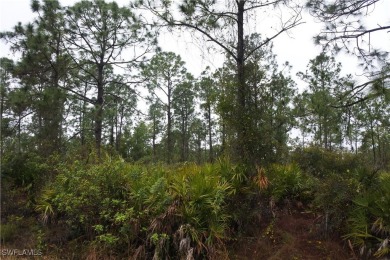 Lehigh Acres Area Lot For Sale in Lehigh Acres Florida