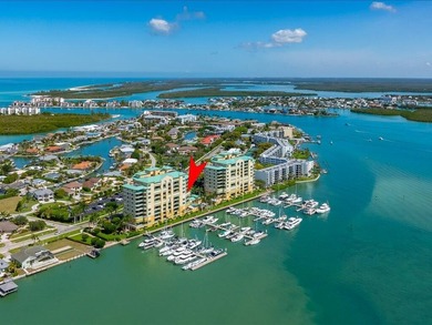 Your waterfront backyard awaits at Pier 81. This light-filled - photo 33