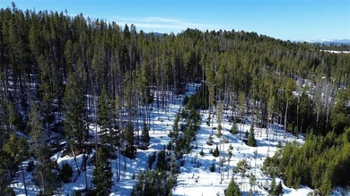 Conveniently located between the lake and the ski area; Enjoy - photo 4