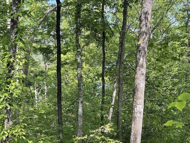 1 Acre Lake Cumberland Building Lot - photo 5