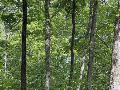1 Acre Lake Cumberland Building Lot - photo 6