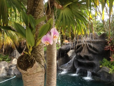 More fun per square foot than any property on Maui. Wake up - photo 4