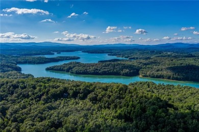 Lake Blue Ridge Acreage Sale Pending in Morganton Georgia