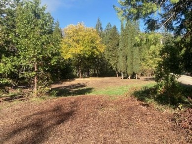 Lake Lot For Sale in Glide, Oregon