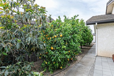 MULTIGENERATIONAL LIVING OPPORTUNITYDREAM HOME IN ORCUTT | 4 BED - photo 36