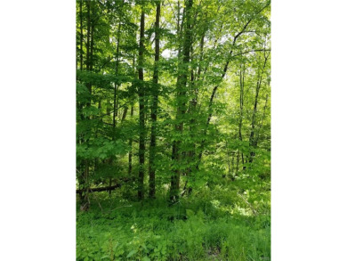 Oneida Lake Acreage For Sale in Cleveland New York