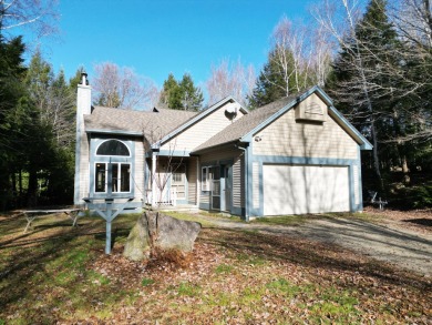 Cold Stream Pond Home For Sale in Enfield Maine