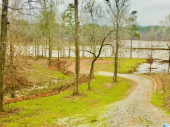 Lay Lake Lot Sale Pending in Jemison Alabama