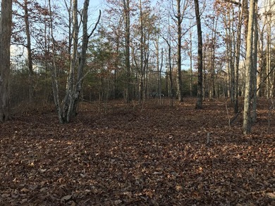Here it is! This 6.04 acre bluff lot looks over the beautiful - photo 2