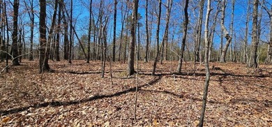 Here it is! This 6.04 acre bluff lot looks over the beautiful - photo 3