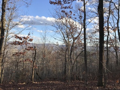 Here it is! This 6.04 acre bluff lot looks over the beautiful - photo 4