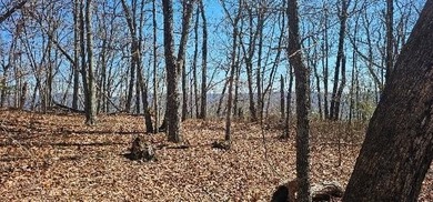 Here it is! This 6.04 acre bluff lot looks over the beautiful - photo 6