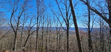 Here it is! This 6.04 acre bluff lot looks over the beautiful - photo 8