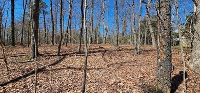 Here it is! This 6.04 acre bluff lot looks over the beautiful - photo 9