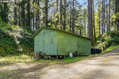 Rare Siltcoos Lake lakefront opportunity in Florence/Dunes - photo 24
