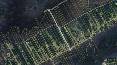 1938 Sol Legare Rd | James Island, SC Rare opportunity to own ~2 - photo 6