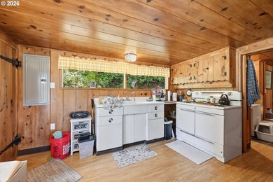 Rare Siltcoos Lake lakefront opportunity in Florence/Dunes - photo 43