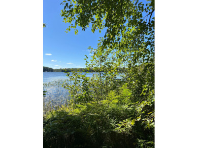 Booth Lake - Oneida County Acreage For Sale in Minocqua Wisconsin