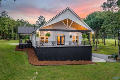 WATERFRONT - Peace and Quiet located right on the Coosa River - photo 4