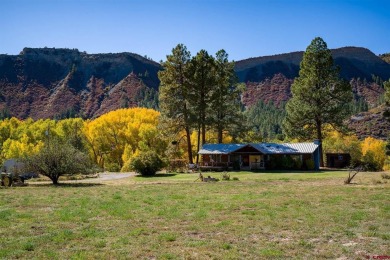 Piedra River Home For Sale in Pagosa Springs Colorado