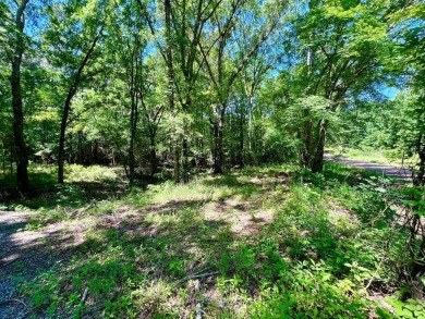 Lake Lot For Sale in Athens, Texas