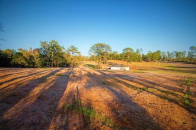 Lake Commercial For Sale in Brookeland, Texas