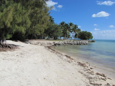Beautiful 200' of oceanfront property on Lower Matecumbe Key - photo 2