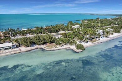 Beautiful 200' of oceanfront property on Lower Matecumbe Key - photo 6