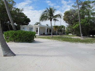 Beautiful 200' of oceanfront property on Lower Matecumbe Key - photo 10