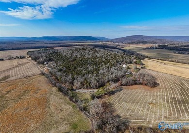 Mini Estate opportunity! Three (3) residential lots available - photo 1