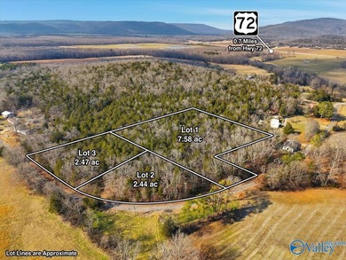 Mini Estate opportunity! Three (3) residential lots available - photo 3