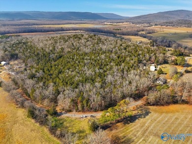 Mini Estate opportunity! Three (3) residential lots available - photo 4