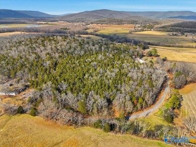 Mini Estate opportunity! Three (3) residential lots available - photo 5