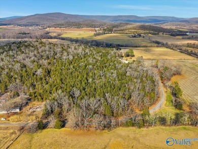 Mini Estate opportunity! Three (3) residential lots available - photo 6
