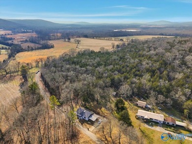 Mini Estate opportunity! Three (3) residential lots available - photo 8