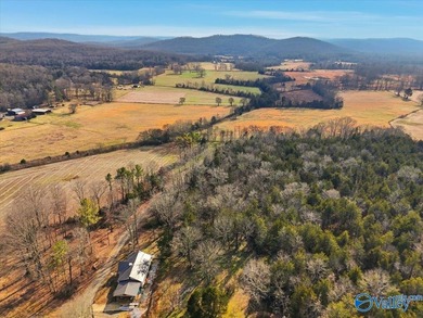 Mini Estate opportunity! Three (3) residential lots available - photo 9