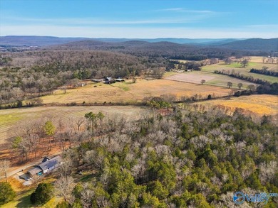 Mini Estate opportunity! Three (3) residential lots available - photo 10