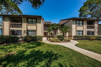 Lake Condo Sale Pending in Oldsmar, Florida