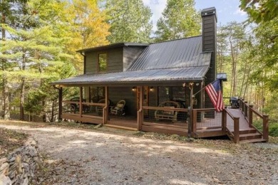 Lake Home For Sale in Ellijay, Georgia