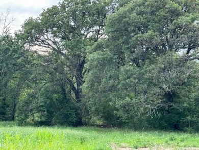 Lake Acreage For Sale in Tool, Texas