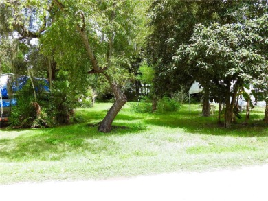 Halfmoon Lake - Marion County Lot For Sale in Silver Springs Florida