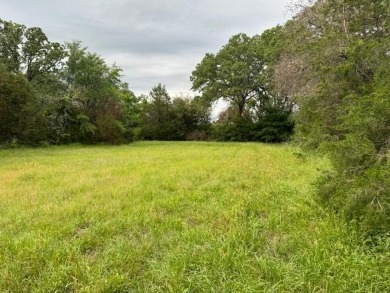 Lake Acreage For Sale in Tool, Texas