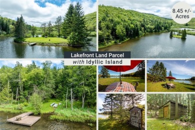 Lake Acreage For Sale in Jefferson, New York