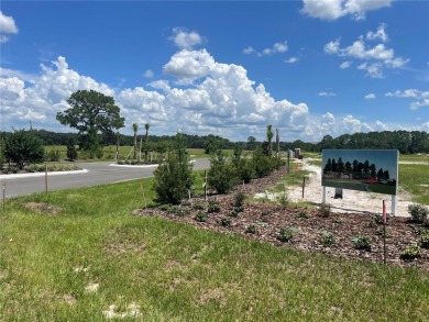 Lake Lot For Sale in Umatilla, Florida