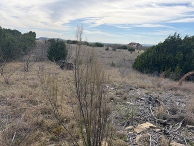 Private and secluded five acre lot backs up to a cattle ranch - photo 5